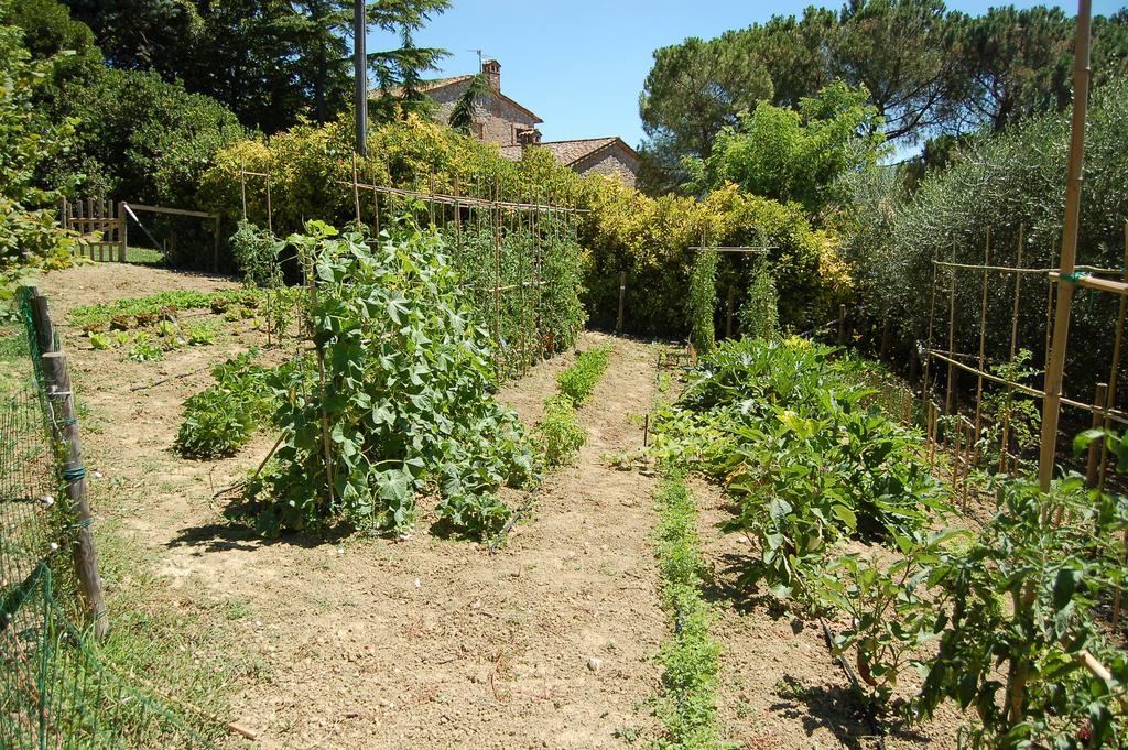 Agriturismo Casale Dei Frontini San Terenziano المظهر الخارجي الصورة