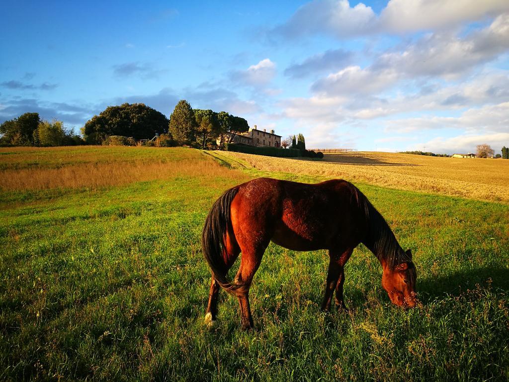 Agriturismo Casale Dei Frontini San Terenziano المظهر الخارجي الصورة