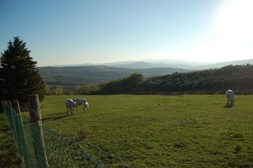 Agriturismo Casale Dei Frontini San Terenziano المظهر الخارجي الصورة