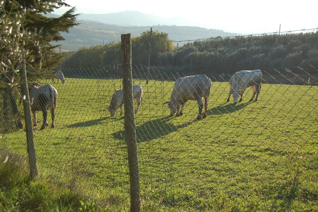 Agriturismo Casale Dei Frontini San Terenziano المظهر الخارجي الصورة